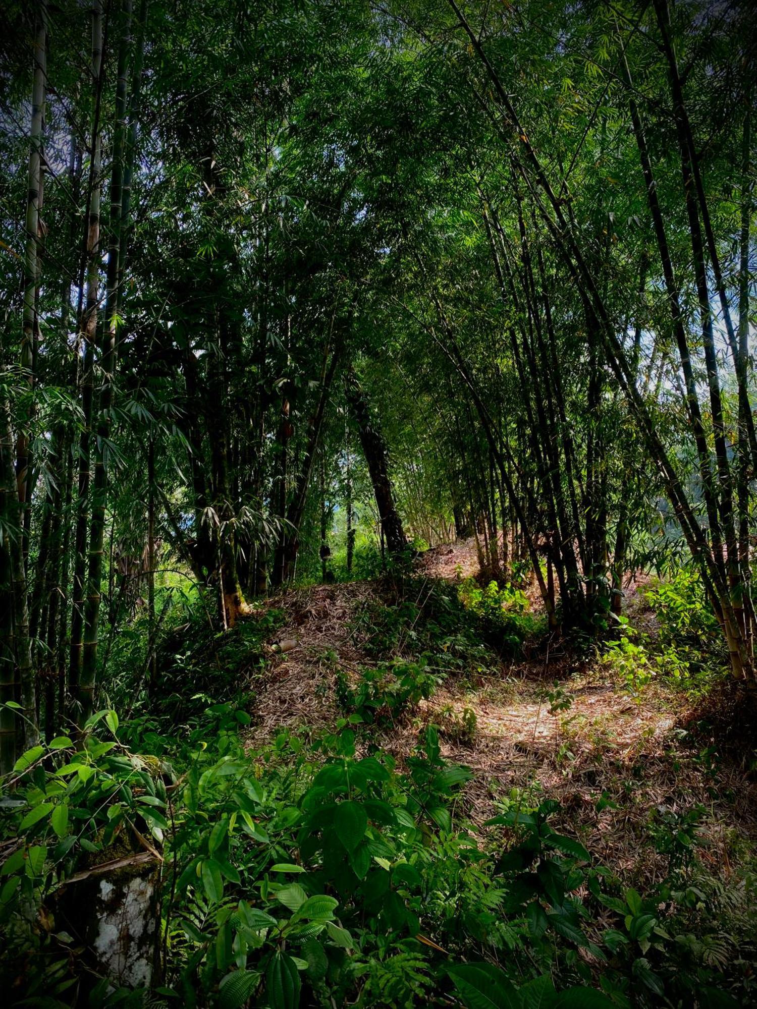 Casa En Santuario Natural En La Amazonia Villa Veracruz  ภายนอก รูปภาพ