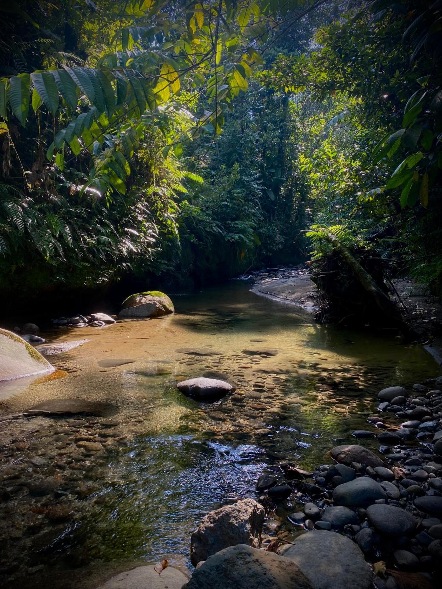 Casa En Santuario Natural En La Amazonia Villa Veracruz  ภายนอก รูปภาพ